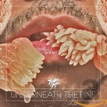 Toro Y Moi - Underneath The Pine CD