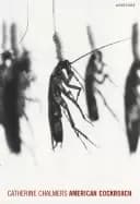 catherine chalmers american cockroach