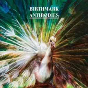 Birthmark ‎- Antibodies CD