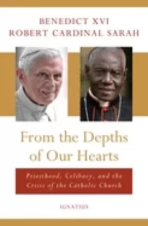 from the depths of our hearts priesthood celibacy and the crisis of the ca