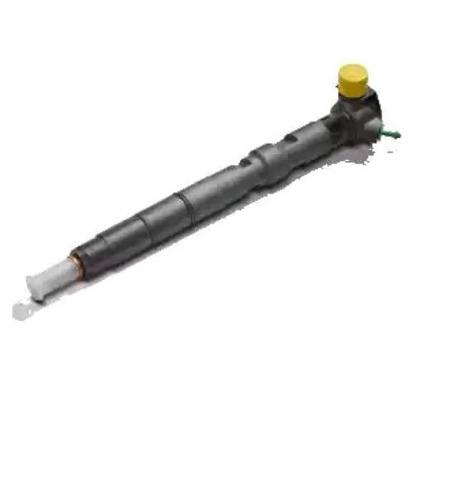 DELPHI 28489548 Injector Injector (3901)