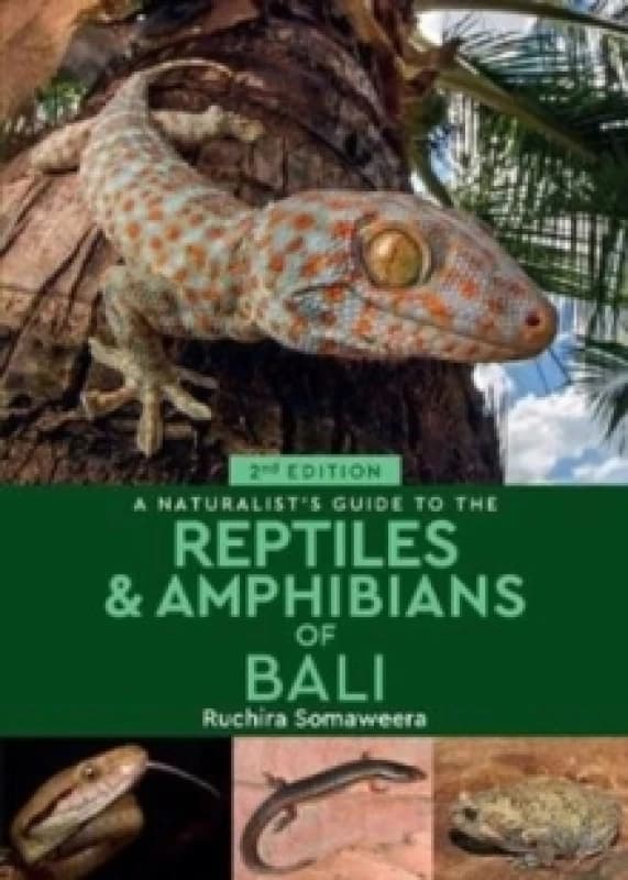 A Naturalist's Guide to the Reptiles & Amphibians of Bali (2nd edition) Paperback / softback