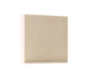 RIDEX Pollen filter OPEL,CHEVROLET,SAAB 424I0237 13503675,13503675,13503675 52102242,13503675,13503675,01808059,13503675,1808059,1808061,1808524