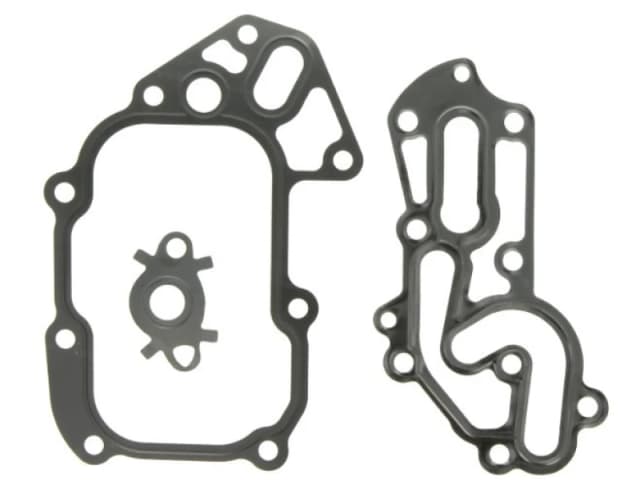 LEMA 70054.25 Gaskets Gasket Set,oil cooler (557)