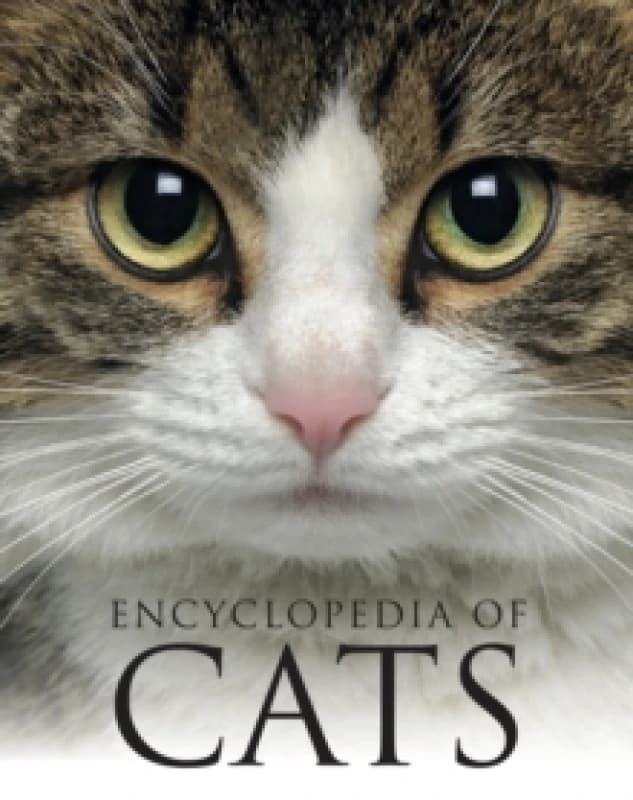 Encyclopedia of Cats Paperback / softback