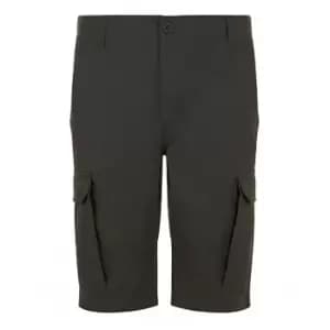 SOLS Mens Jackson Bermuda Shorts (38in) (Umber)