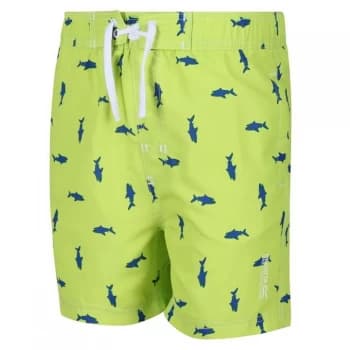 Regatta Skander II Swimming Shorts - EltricLmeShr