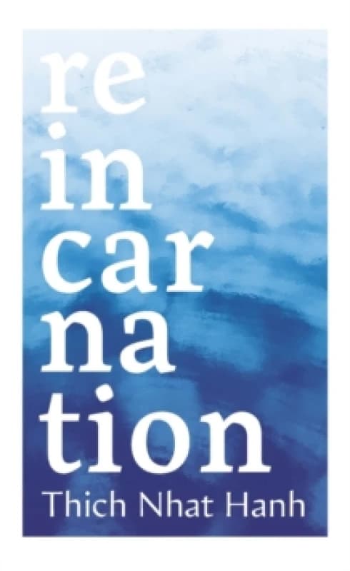 Reincarnation Paperback / softback
