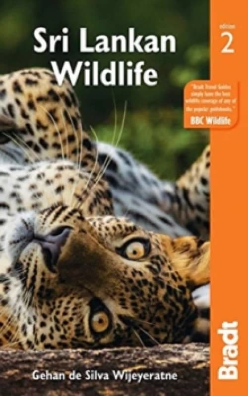 Sri Lankan Wildlife Paperback / softback