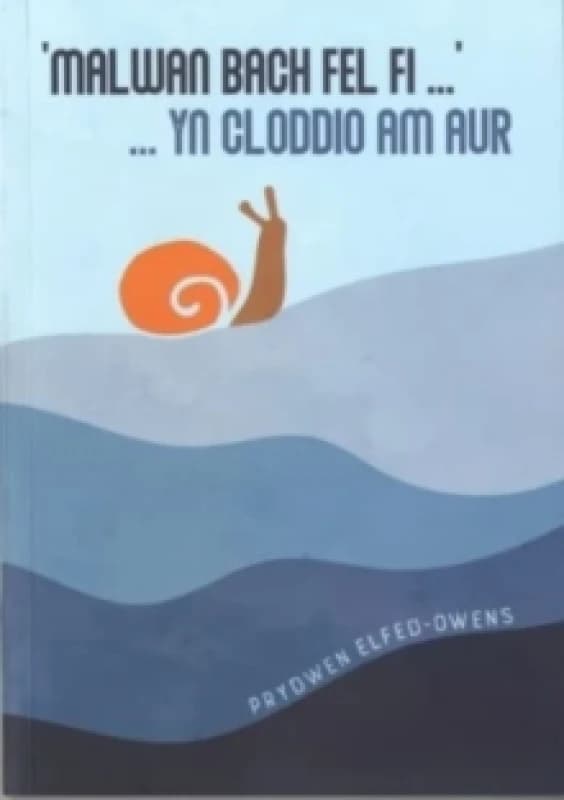 Malwan Bach Fel Fi ... yn Cloddio am Aur Paperback / softback