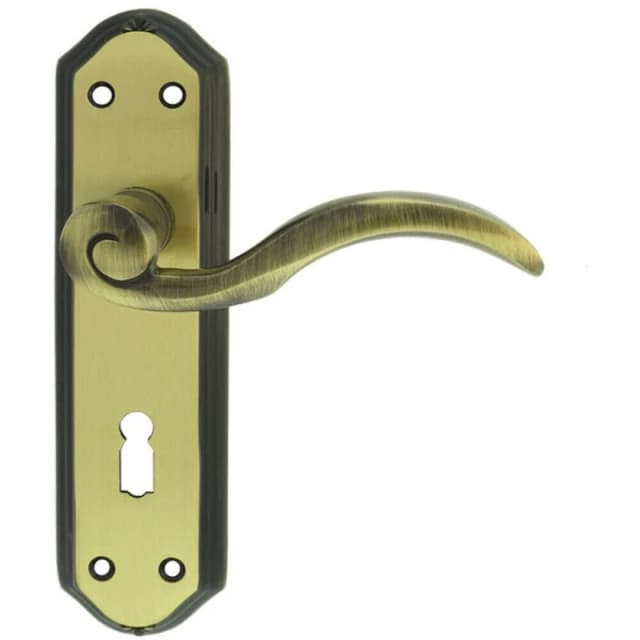 Loops PAIR Spiral Sculpted Handle on Lock Backplate 180 x 48mm Florentine Bronze Multi