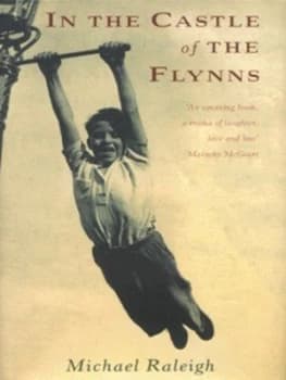 In the Castle of the Flynns by Michael Raleigh Hardback