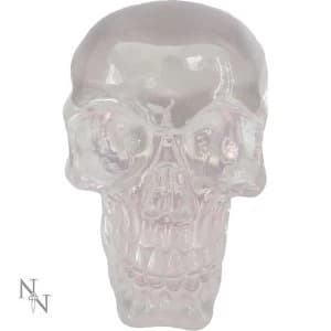 Clear Thinking Skull