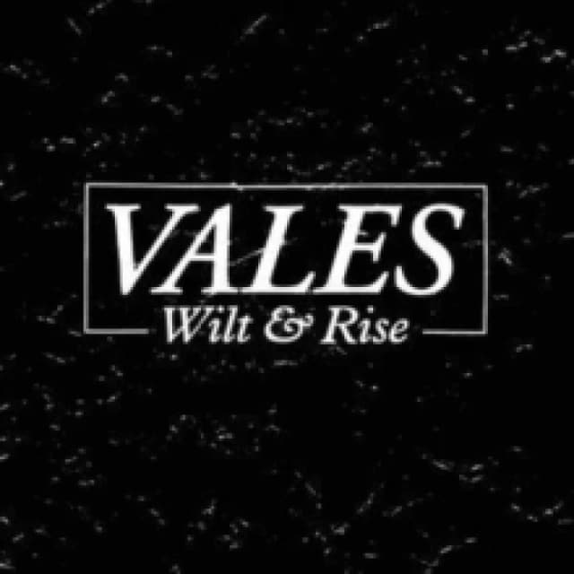 Wilt & rise CD / Album