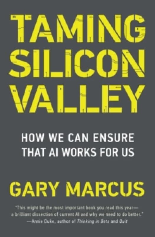 Taming Silicon Valley : How to Protect Our Jobs, Safety, and Society in the Age of AI Paperback / softback