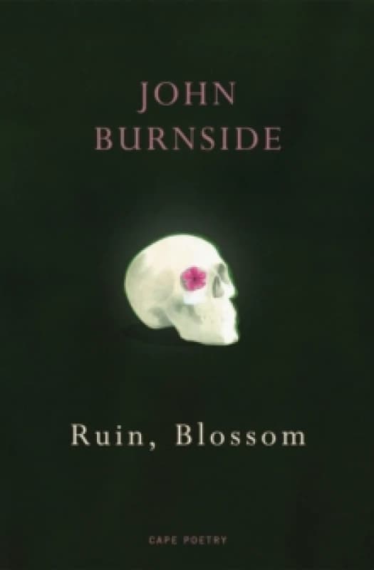 Ruin, Blossom Paperback / softback