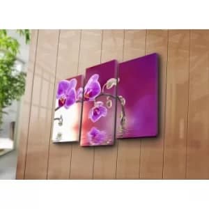 3KBPAT-45 Multicolor Decorative Canvas Painting (3 Pieces)