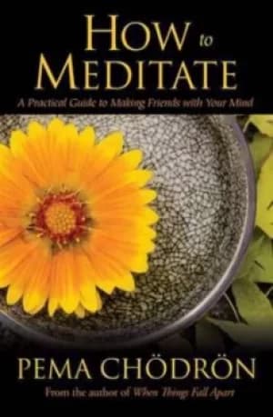 How to meditate by Pema Chdrn