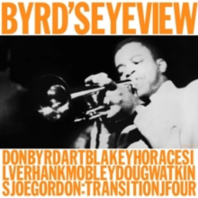 Byrd's Eye View Vinyl