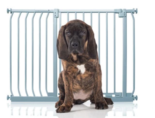 Bettacare Elite Pressure Dog Gate, 107Cm - 116Cm, Matt Grey, Pressure Fit Pet Gate For Dog And Puppy