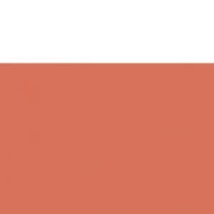 Shiseido UV Protective Compact Foundation (12g) - Medium Beige