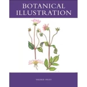 Botanical Illustration by Valerie Oxley (Paperback, 2008)