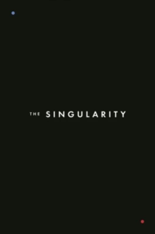 The Singularity Paperback / softback