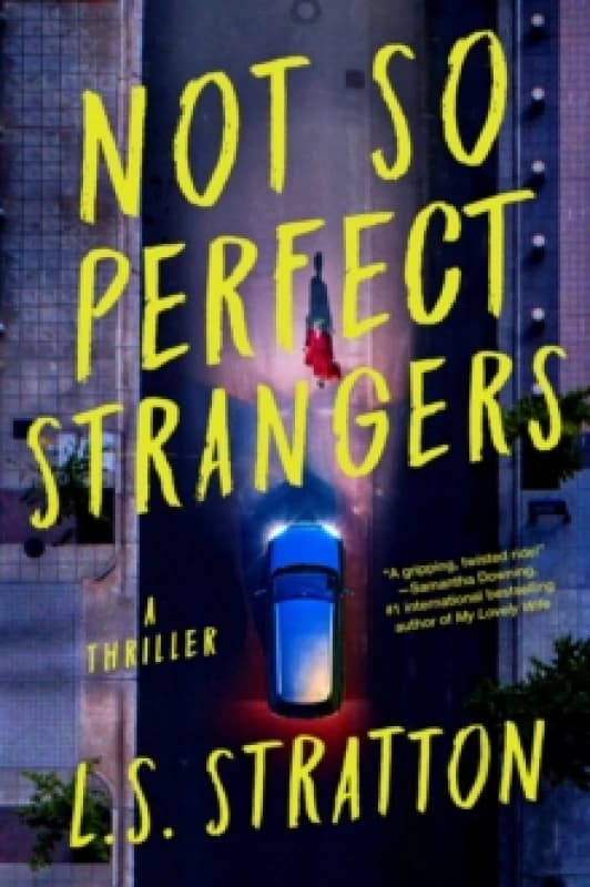 Not So Perfect Strangers : A Thriller Paperback / softback
