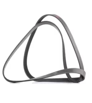 RIDEX PLUS V-ribbed belt 305P0089P Serpentine belt,Auxiliary belt VW,AUDI,MERCEDES-BENZ,POLO (9N_)