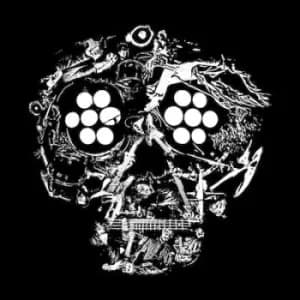 Decayed Ten Years of Cities Wounds Lightness and Pain by Young Widows Vinyl Album