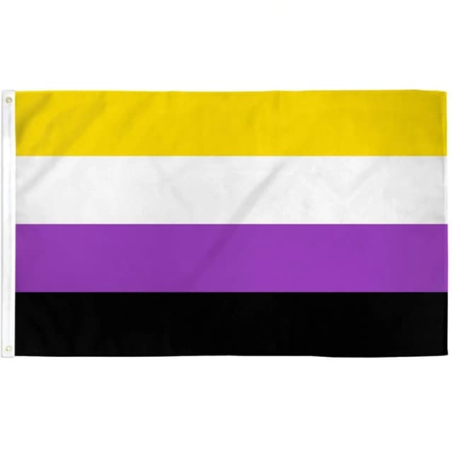 Shatchi Non-binary Flag Lesbian Love Gender Diversity Trans/LGBTQ/Pansexual/Non-Binary/Genderfluid Celebration Support 5ft x 3ft Multi unisex