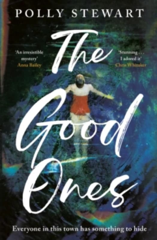 The Good Ones : A gripping page-turner about a missing woman and dark secrets in a small town Hardback