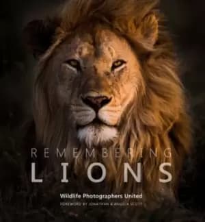 Remembering lions - Margot Raggett - Hardback - Used