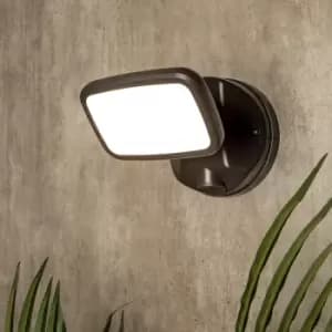 Lynn 1 Light Outdoor Wall Light (IP65) - Dark Grey