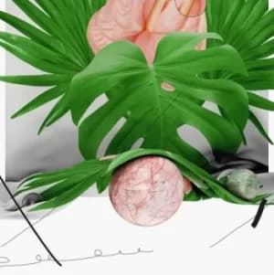 Year of the Dragon by Hatchback CD Album