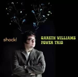 Gareth Williams Power Trio - Shock! CD Album - Used