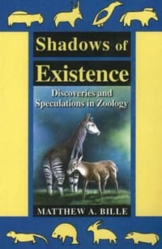 Shadows of Existence by Christopher Murphy Paperback
