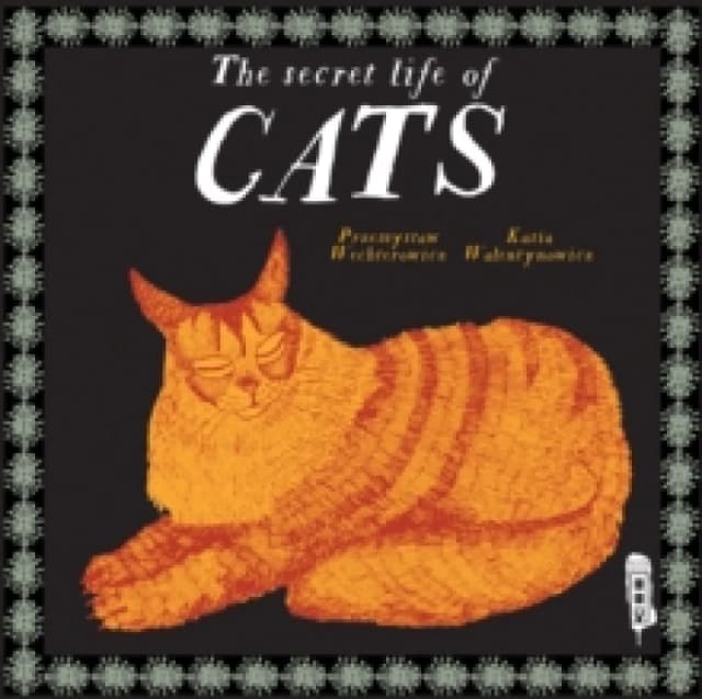 The Secret Lives of Cats Hardback