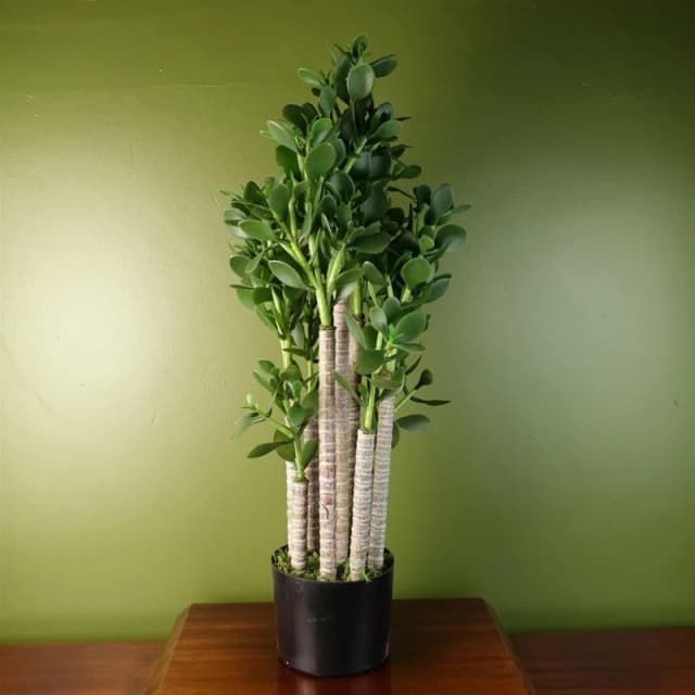 Leaf Artificial Deluxe 75cm Green Jade Plant Green unisex