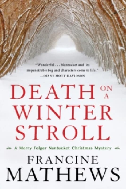 Death On A Winter Stroll Paperback / softback