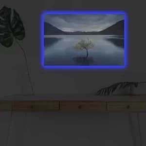 4570DHDACT-008 Multicolor Decorative LED Lighted Canvas Painting