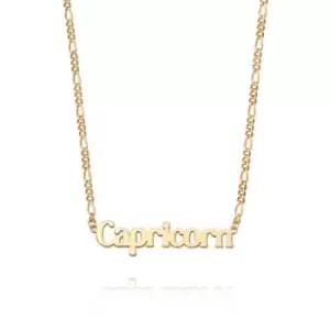Daisy London Jewellery 18ct Gold Plate Capricorn Zodiac Necklace 18Ct Gold Plate