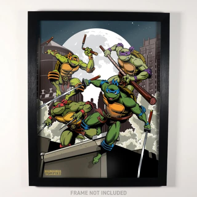 Teenage Mutant Ninja Turtles Limited Edition Fan-Cel Multi