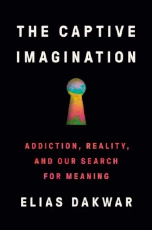 The Captive Imagination : Addiction, Reality and our Search for Meaning Paperback / softback