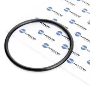 DR.MOTOR AUTOMOTIVE Seal, fuel filter PEUGEOT,CITROEN DRM053 191211,191211
