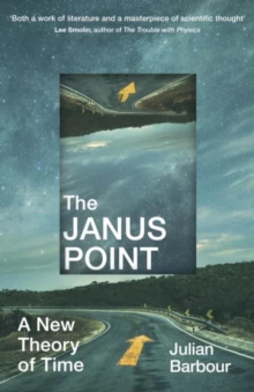 The Janus Point : A New Theory of Time Paperback / softback