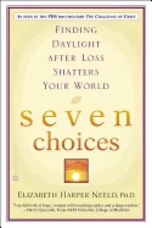 seven choices finding daylight after loss shatters your world