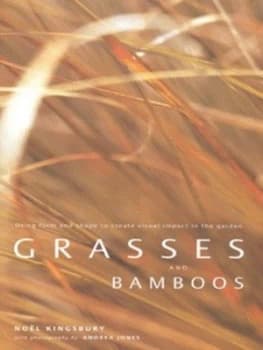 Grasses and Bamboos by Nol Kingsbury and Andrea Jones and Paul Whittaker Hardback