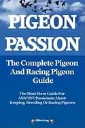 pigeon passion the complete pigeon and racing pigeon guide