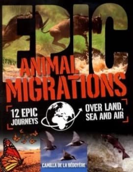 Animal Migrations by Camilla De La Bedoyere Paperback